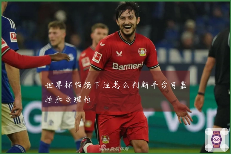 世界杯临场下注怎么判断平台可靠性和合理性