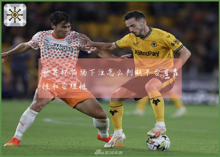 世界杯临场下注怎么判断平台可靠性和合理性